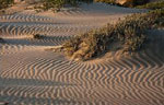Зыбучие пески сонник