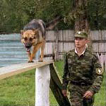 Кинолог сонник Кинолог сонник